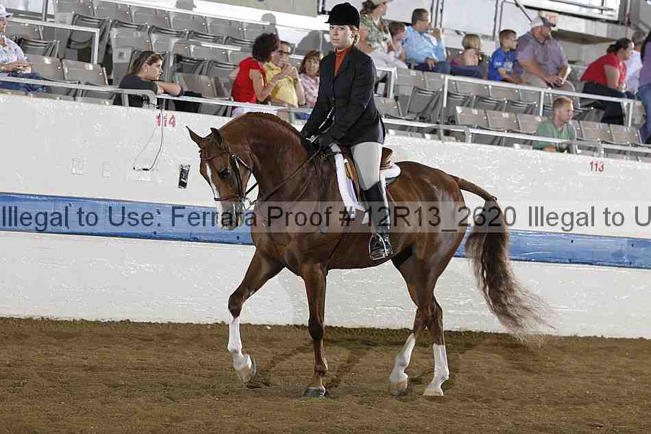 Proof 12r13_2620
