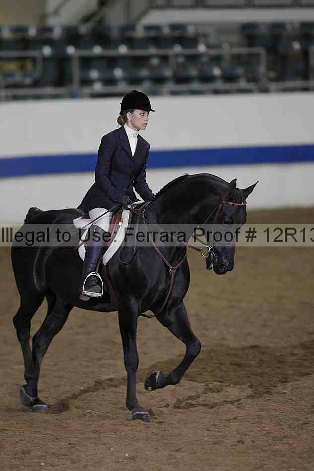 Proof 12r13_2622