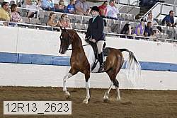 12r13_2623 proof