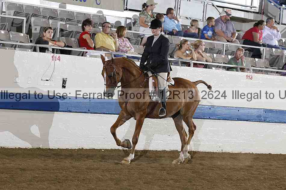 Proof 12r13_2624