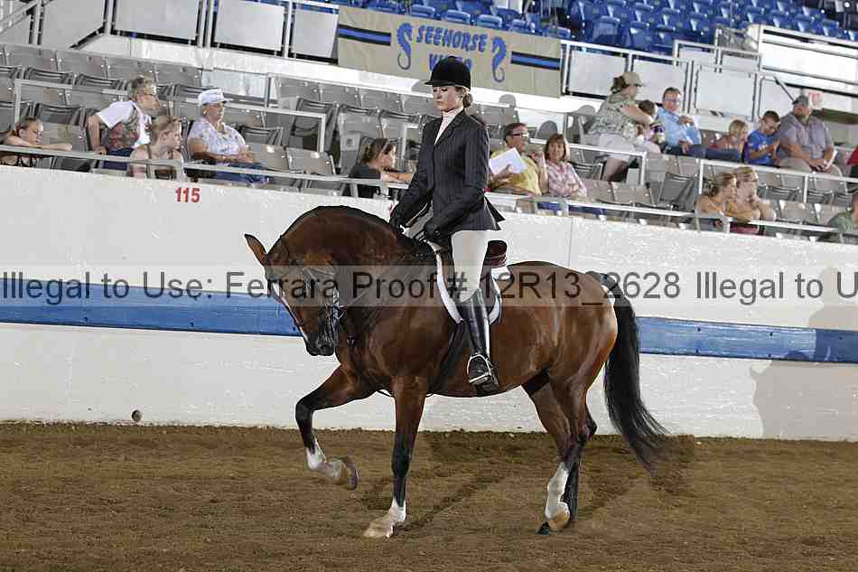Proof 12r13_2628