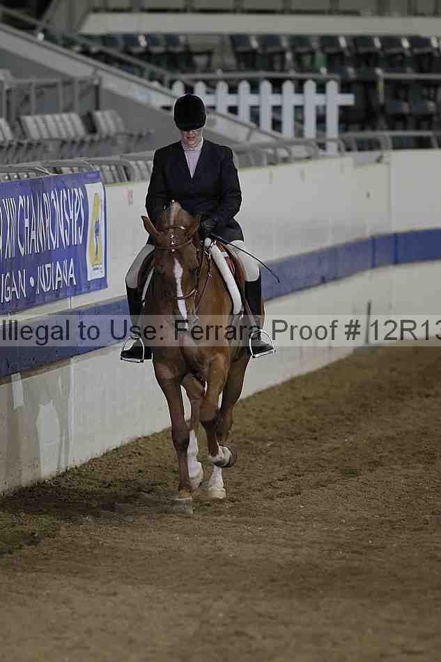 Proof 12r13_2629