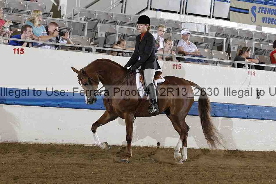 Proof 12r13_2630
