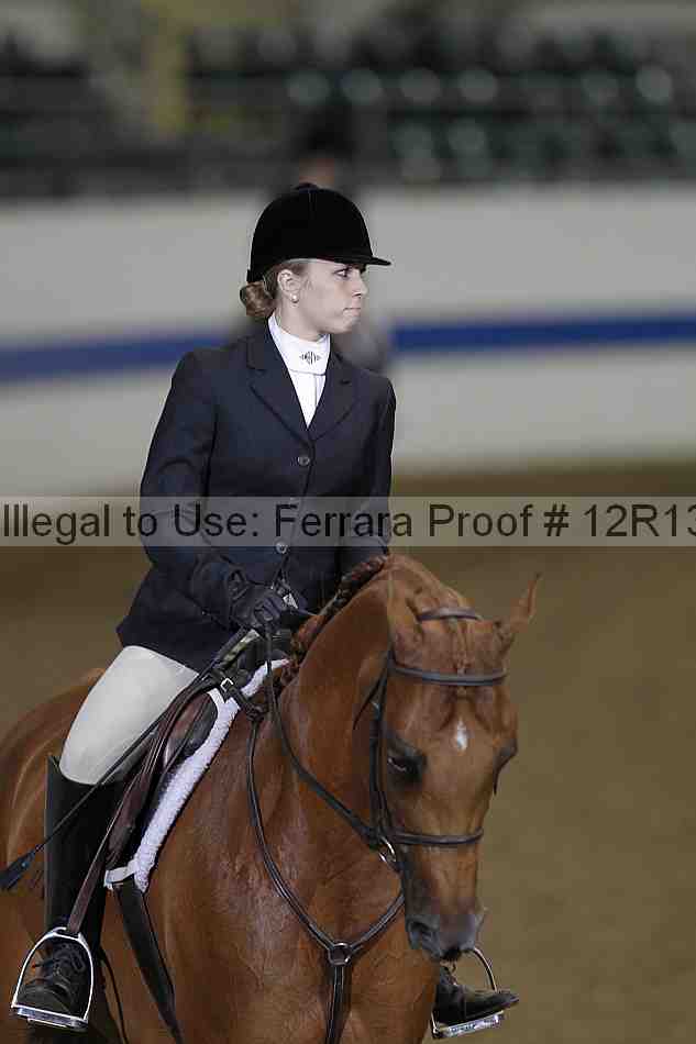 Proof 12r13_2631