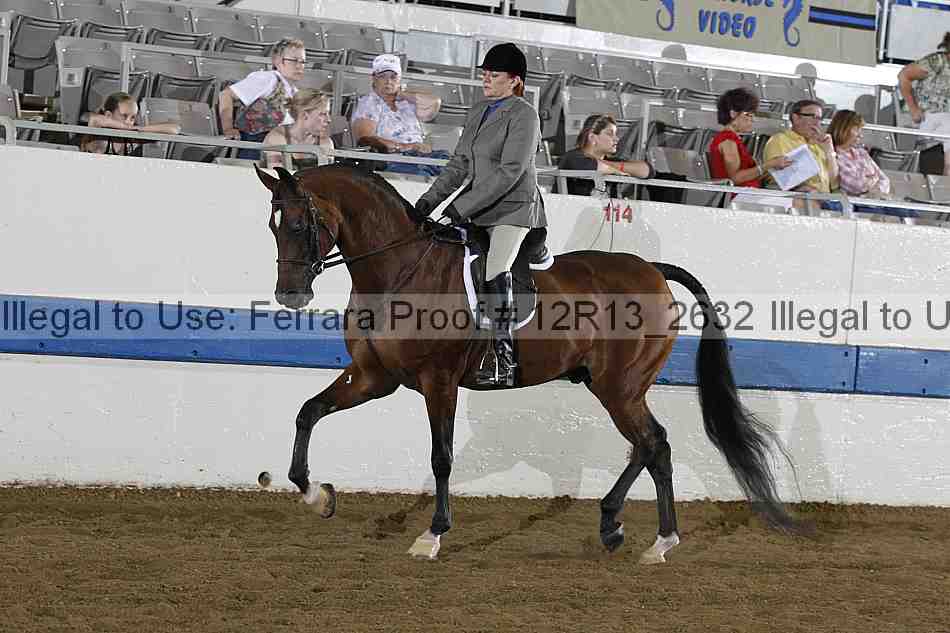 Proof 12r13_2632