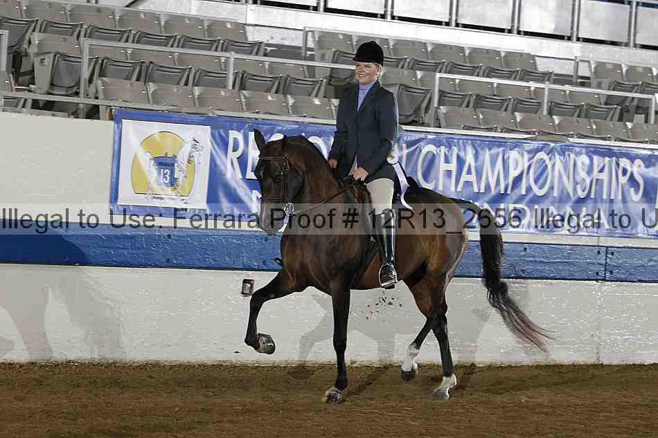 Proof 12r13_2656