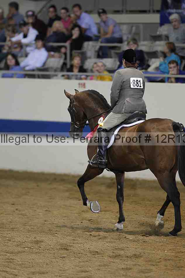 Proof 12r13_2668