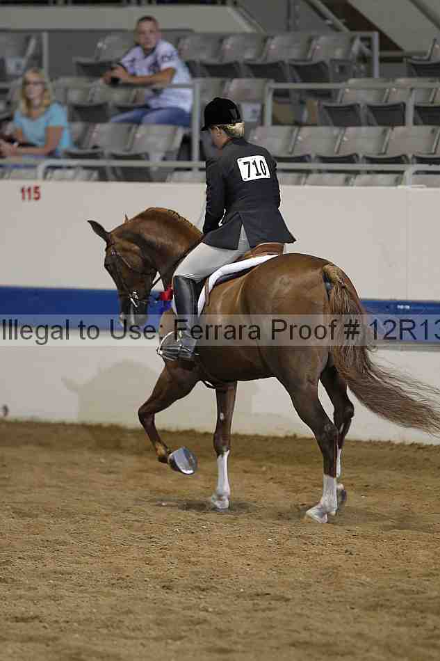 Proof 12r13_2669