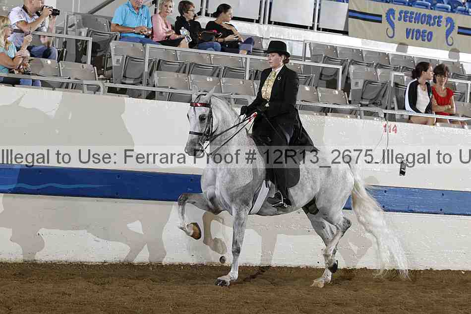 Proof 12r13_2675