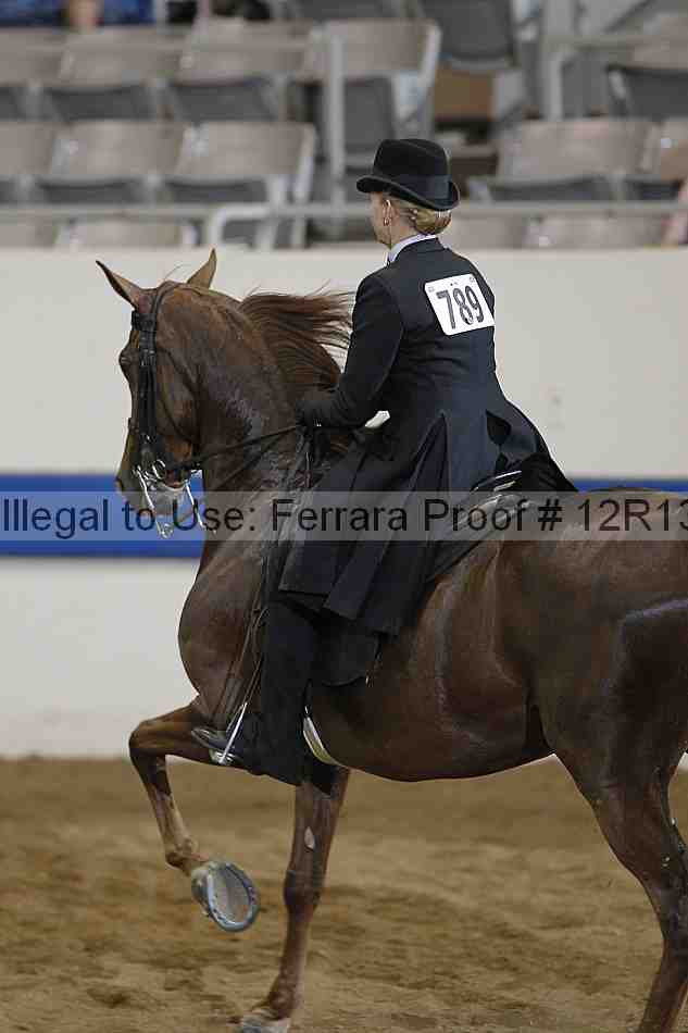 Proof 12r13_2676