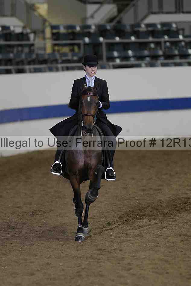Proof 12r13_2677