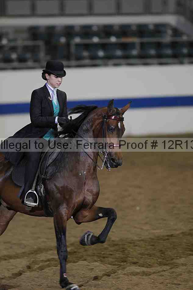 Proof 12r13_2686