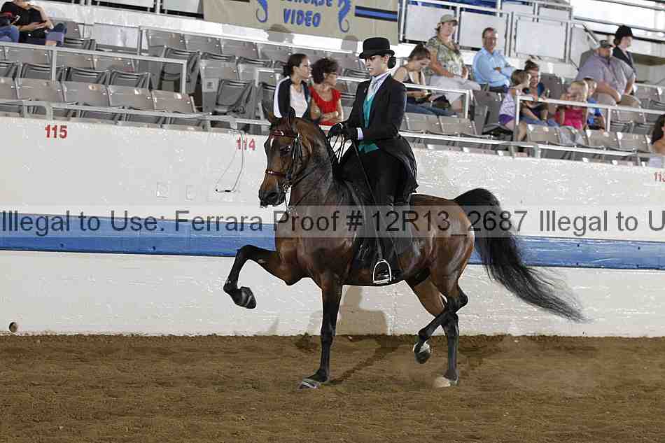 Proof 12r13_2687