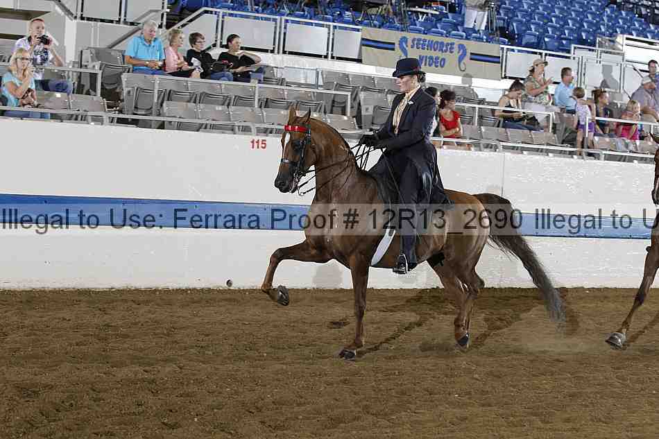 Proof 12r13_2690