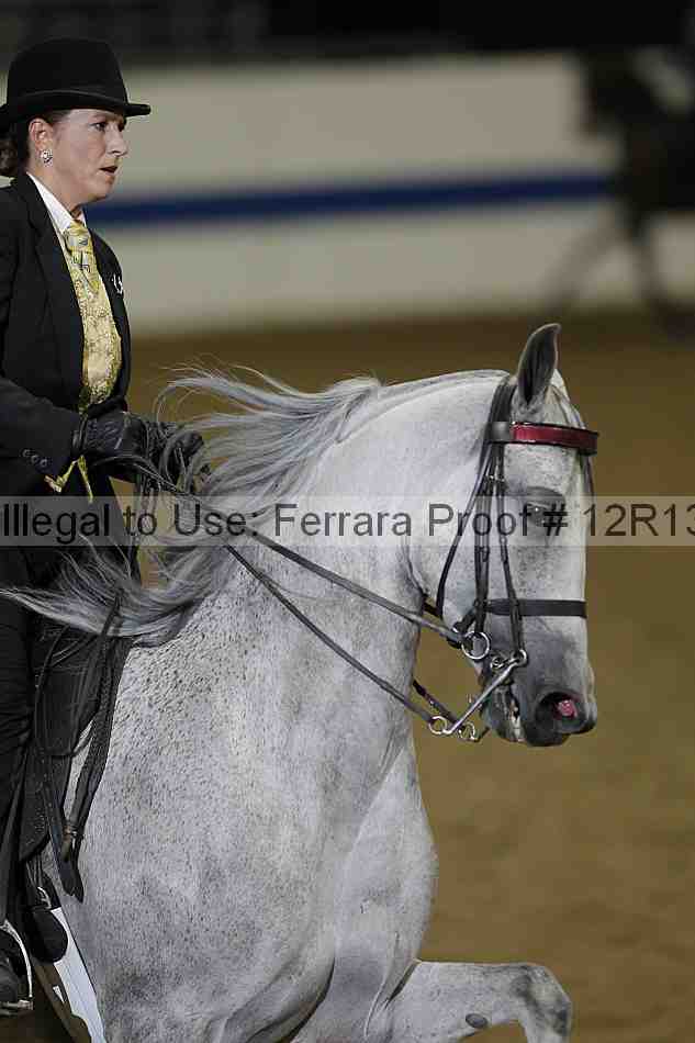 Proof 12r13_2694