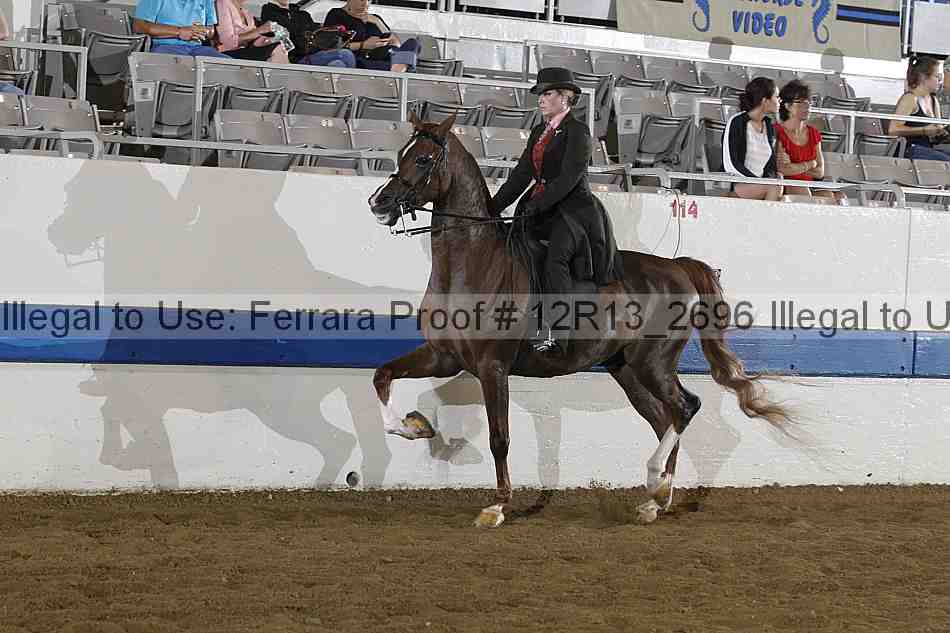 Proof 12r13_2696