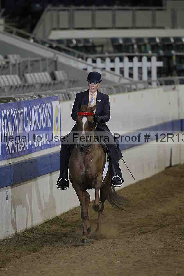 Proof 12r13_2699