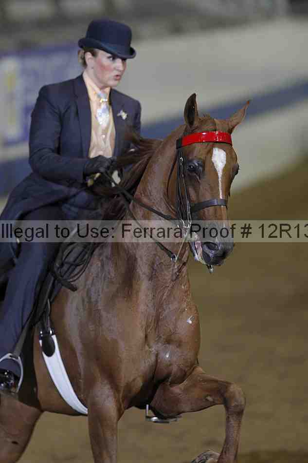Proof 12r13_2702