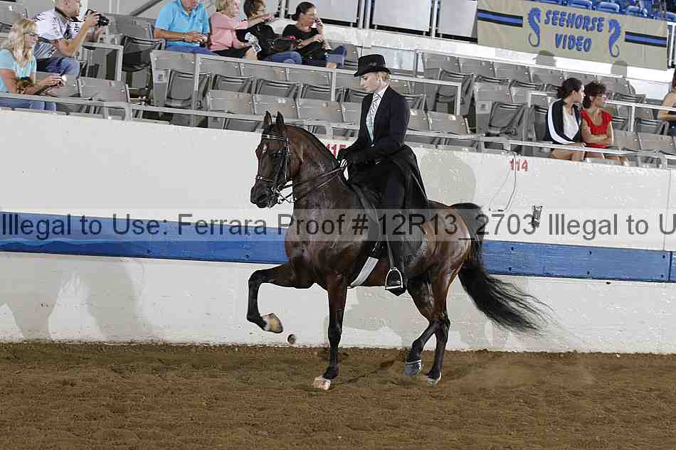 Proof 12r13_2703