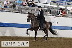 12r13_2703 proof