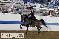 12r13_2705 proof