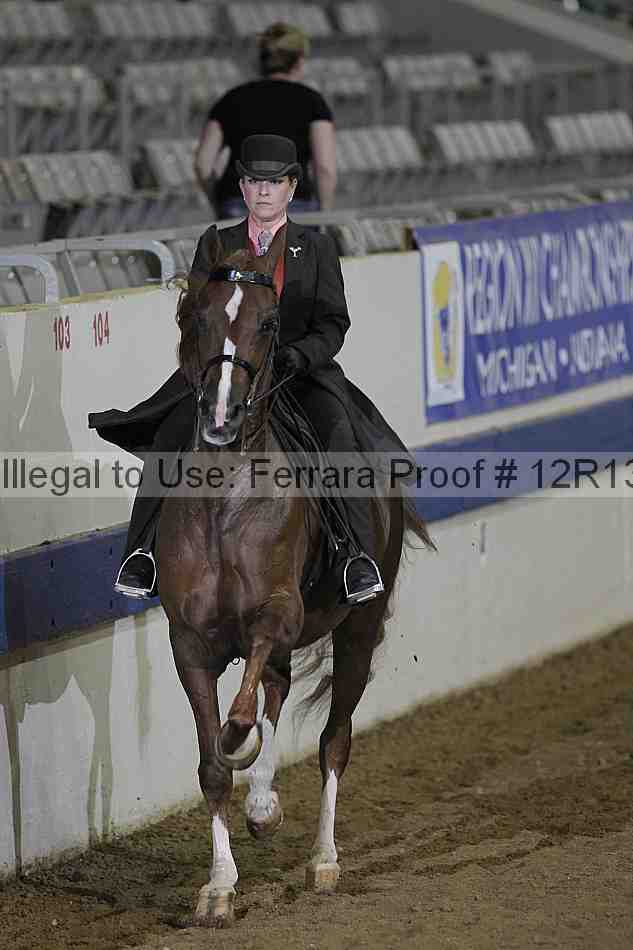 Proof 12r13_2706