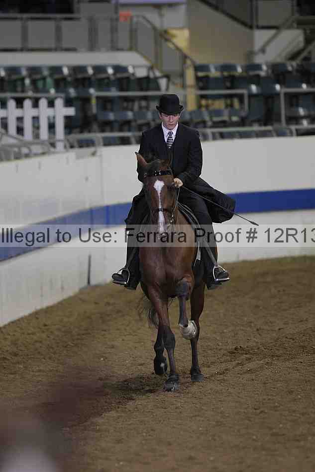 Proof 12r13_2708