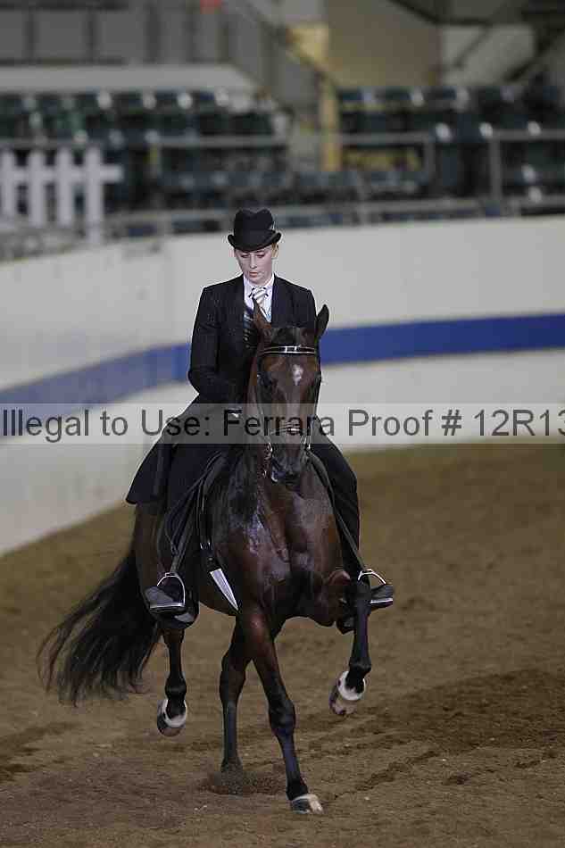 Proof 12r13_2709