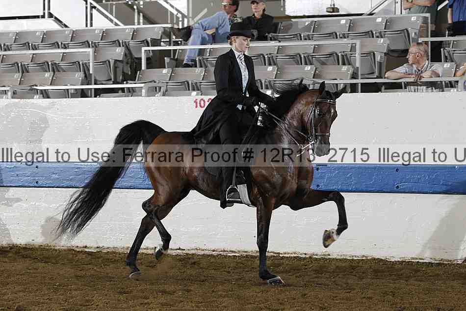 Proof 12r13_2715