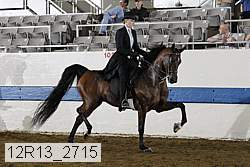12r13_2715 proof