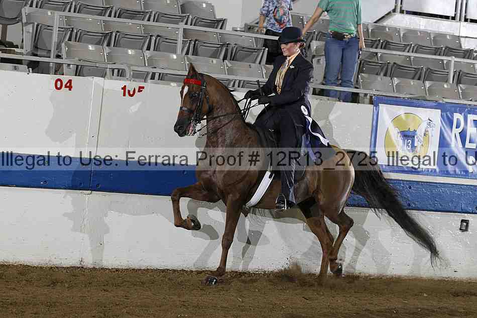Proof 12r13_2725