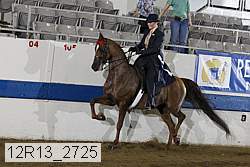 12r13_2725 proof