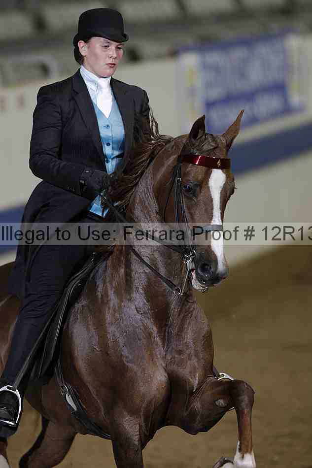 Proof 12r13_2728