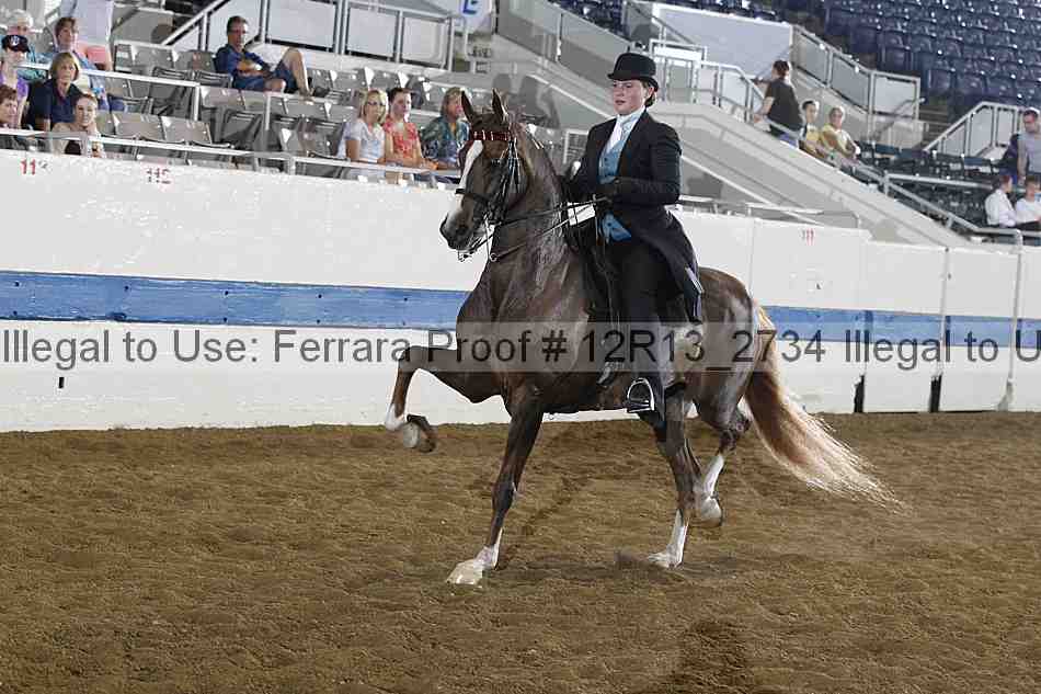 Proof 12r13_2734