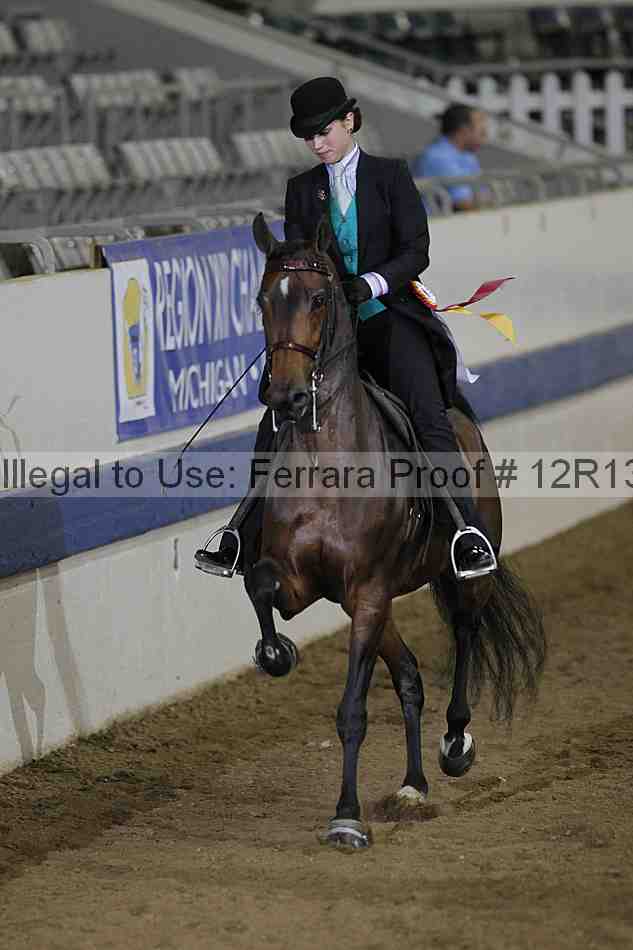 Proof 12r13_2738