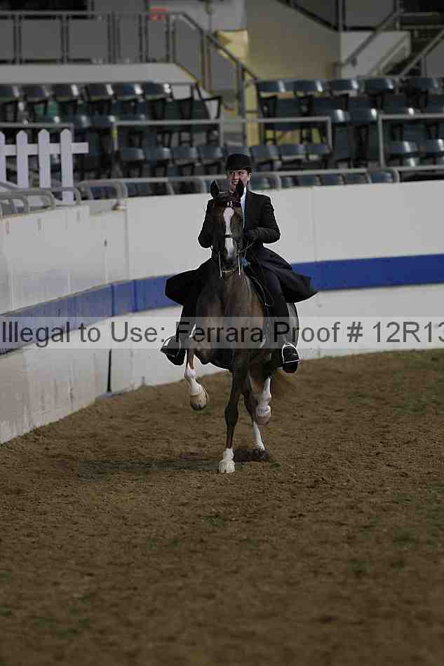 Proof 12r13_2741