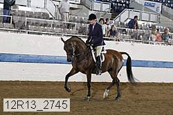 12r13_2745 proof