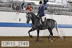 12r13_2746 proof