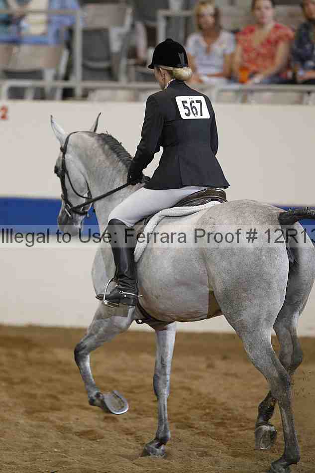 Proof 12r13_2749