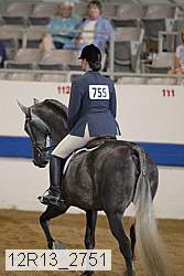 12r13_2751 proof