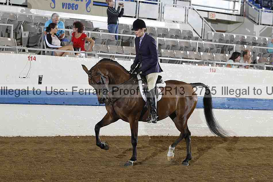 Proof 12r13_2755