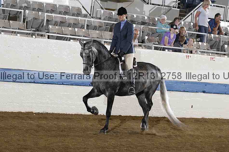 Proof 12r13_2758