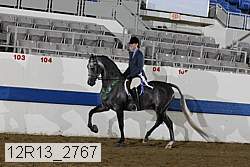 12r13_2767 proof