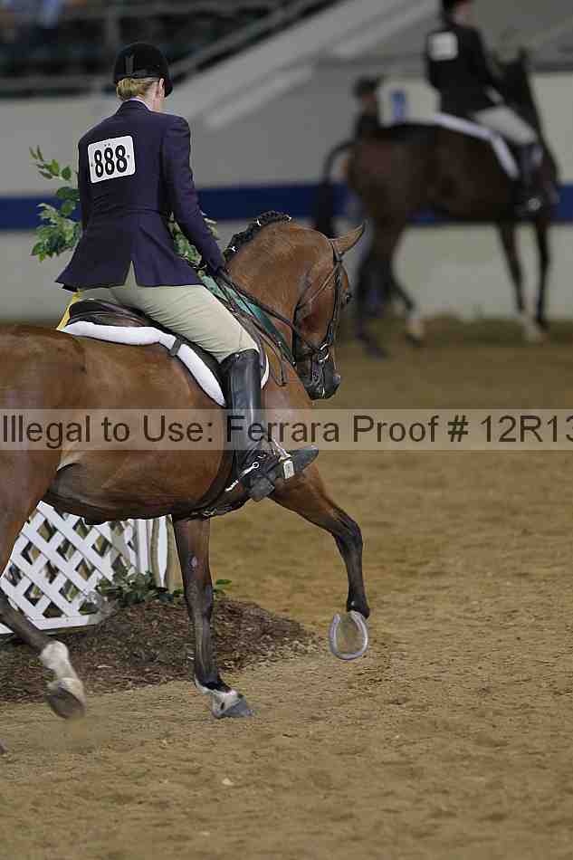 Proof 12r13_2769