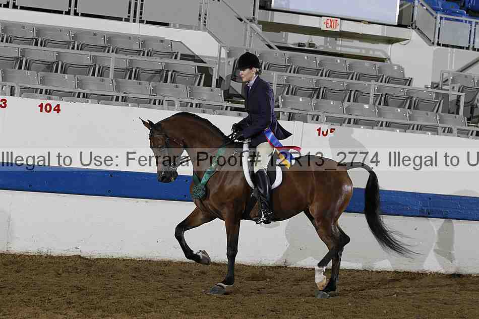 Proof 12r13_2774