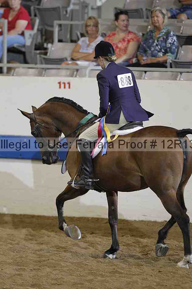 Proof 12r13_2783