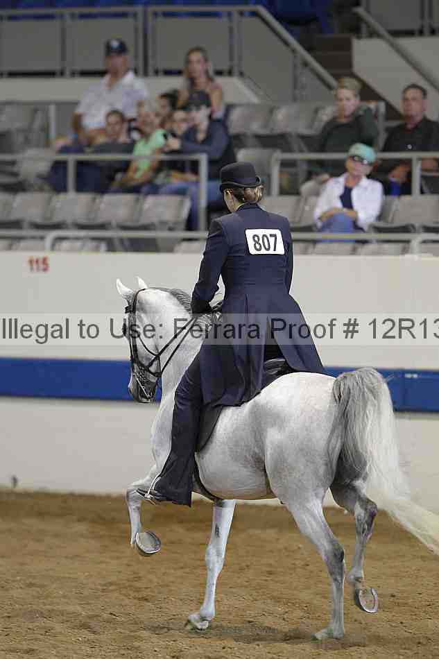 Proof 12r13_2787