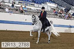 12r13_2788 proof