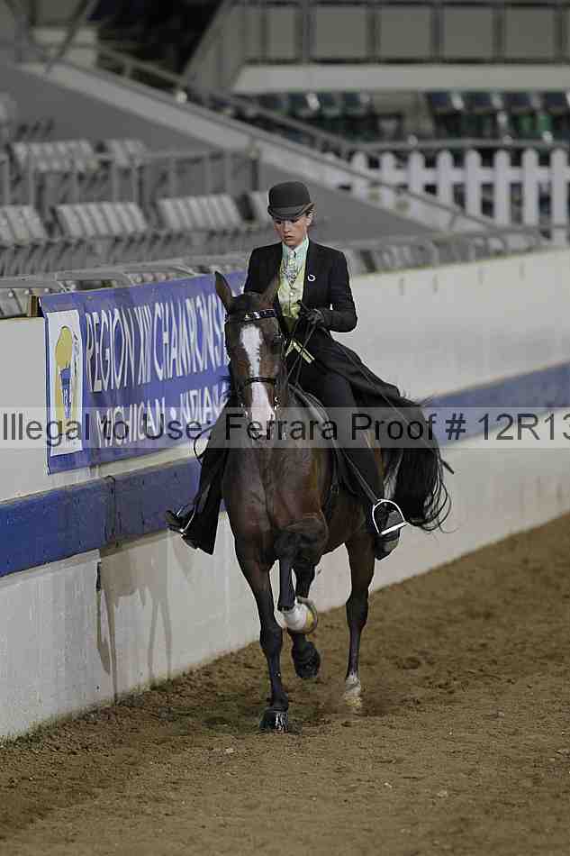Proof 12r13_2793