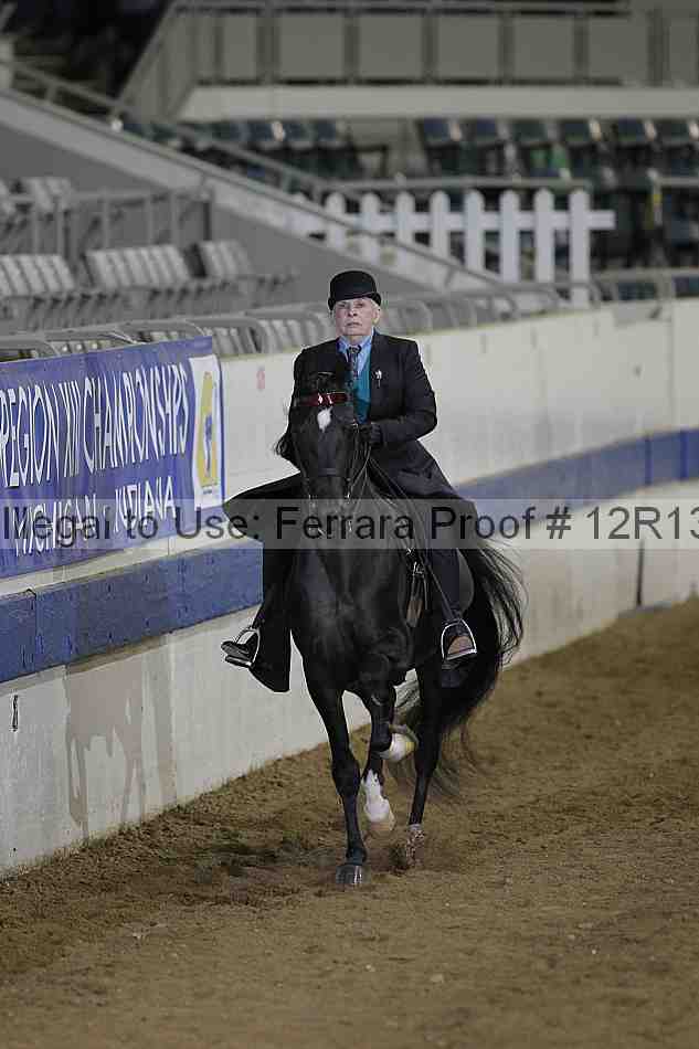 Proof 12r13_2795